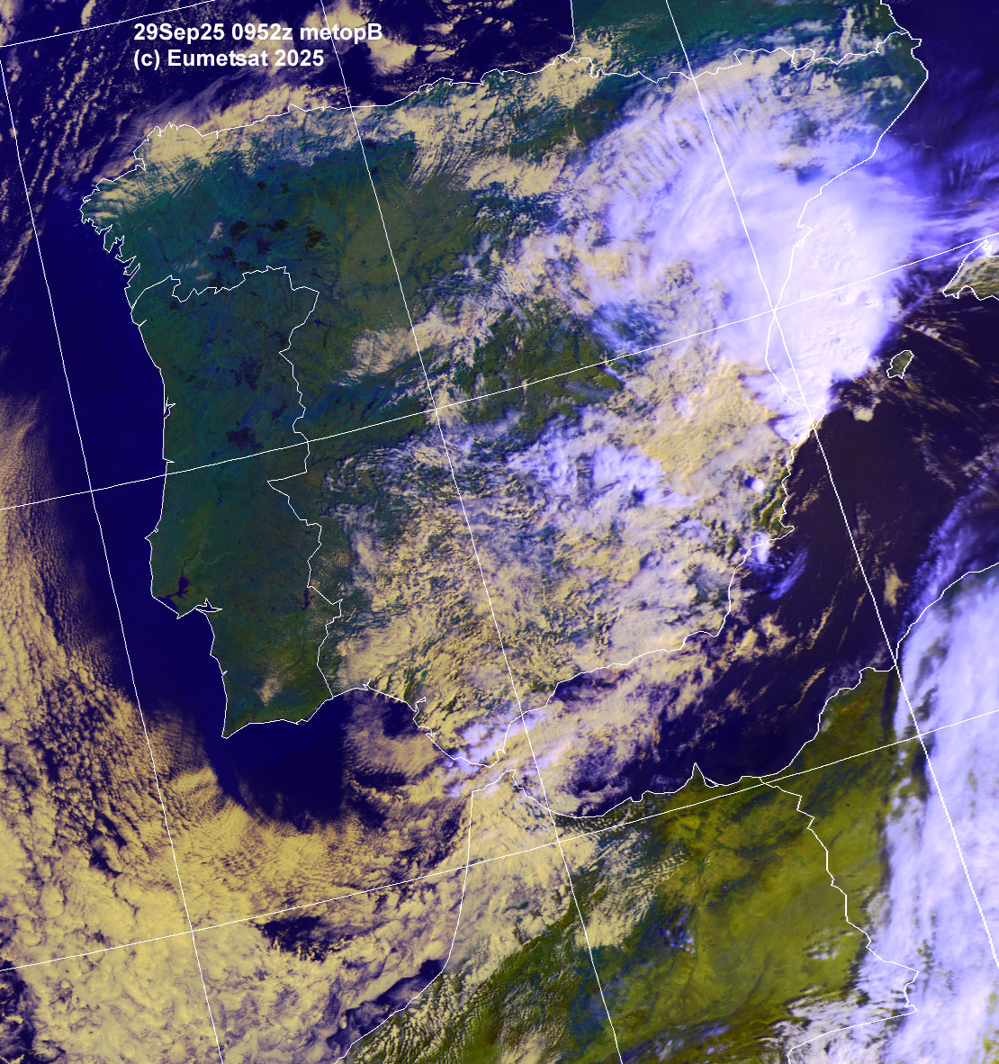 ahi29-0952-d-ib