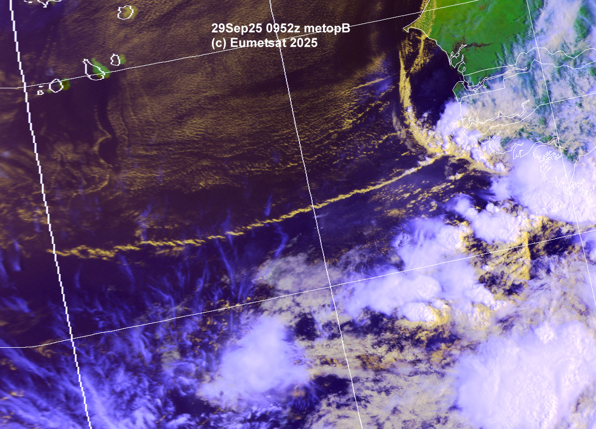 ahi29-0952-i-cv