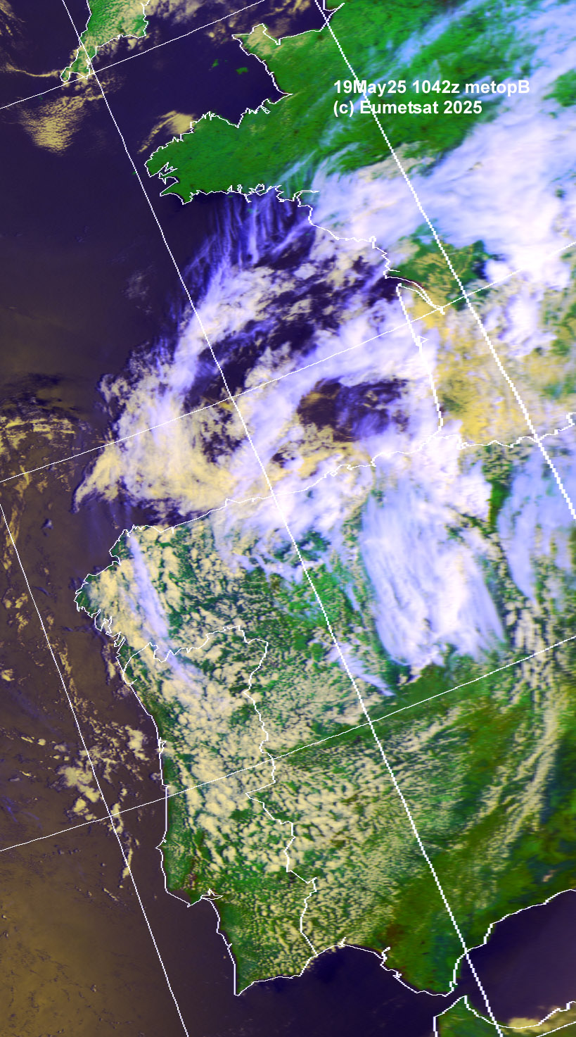 ahe19-1042-c-ib