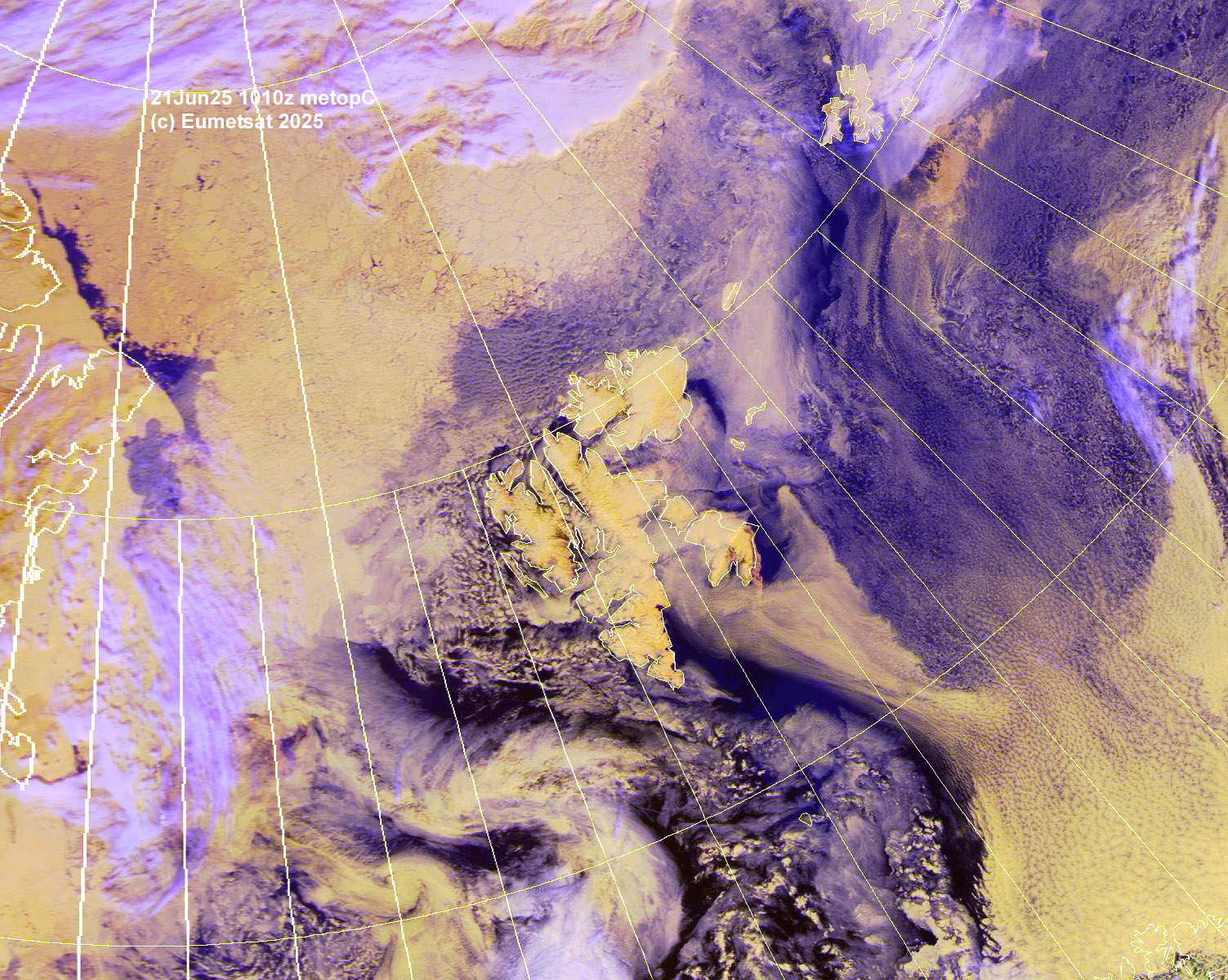 ahf21-1010-f-sv