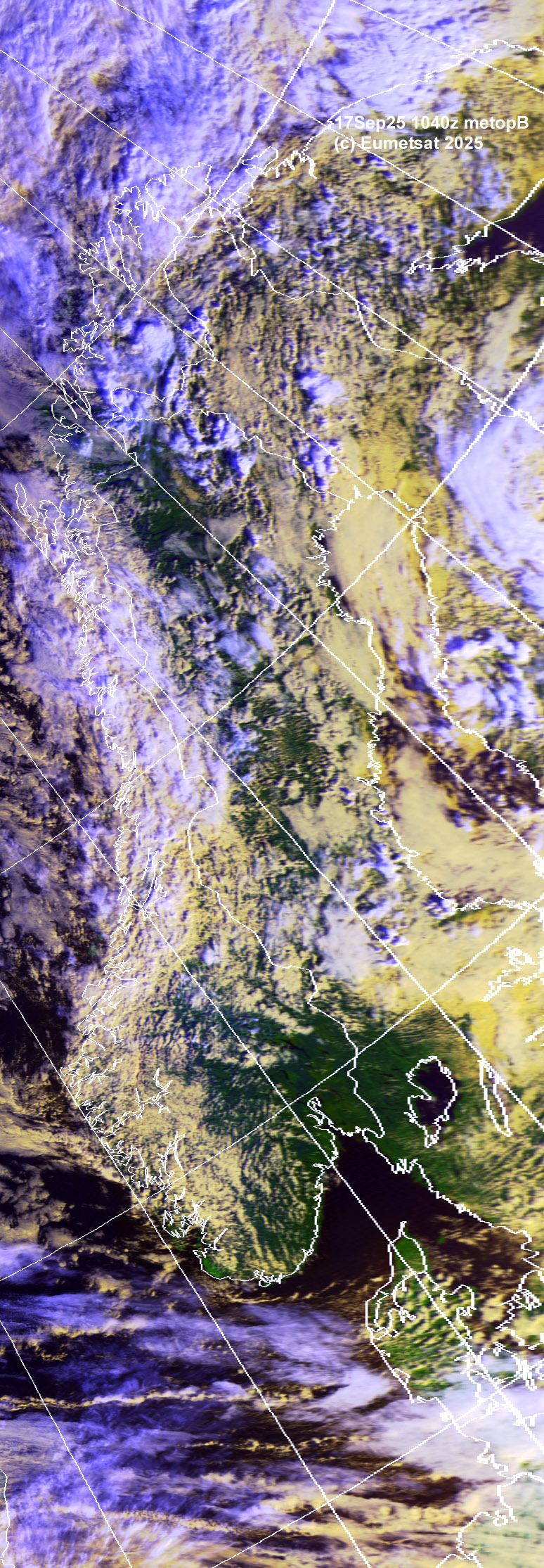 ahi17-1040-d-sca