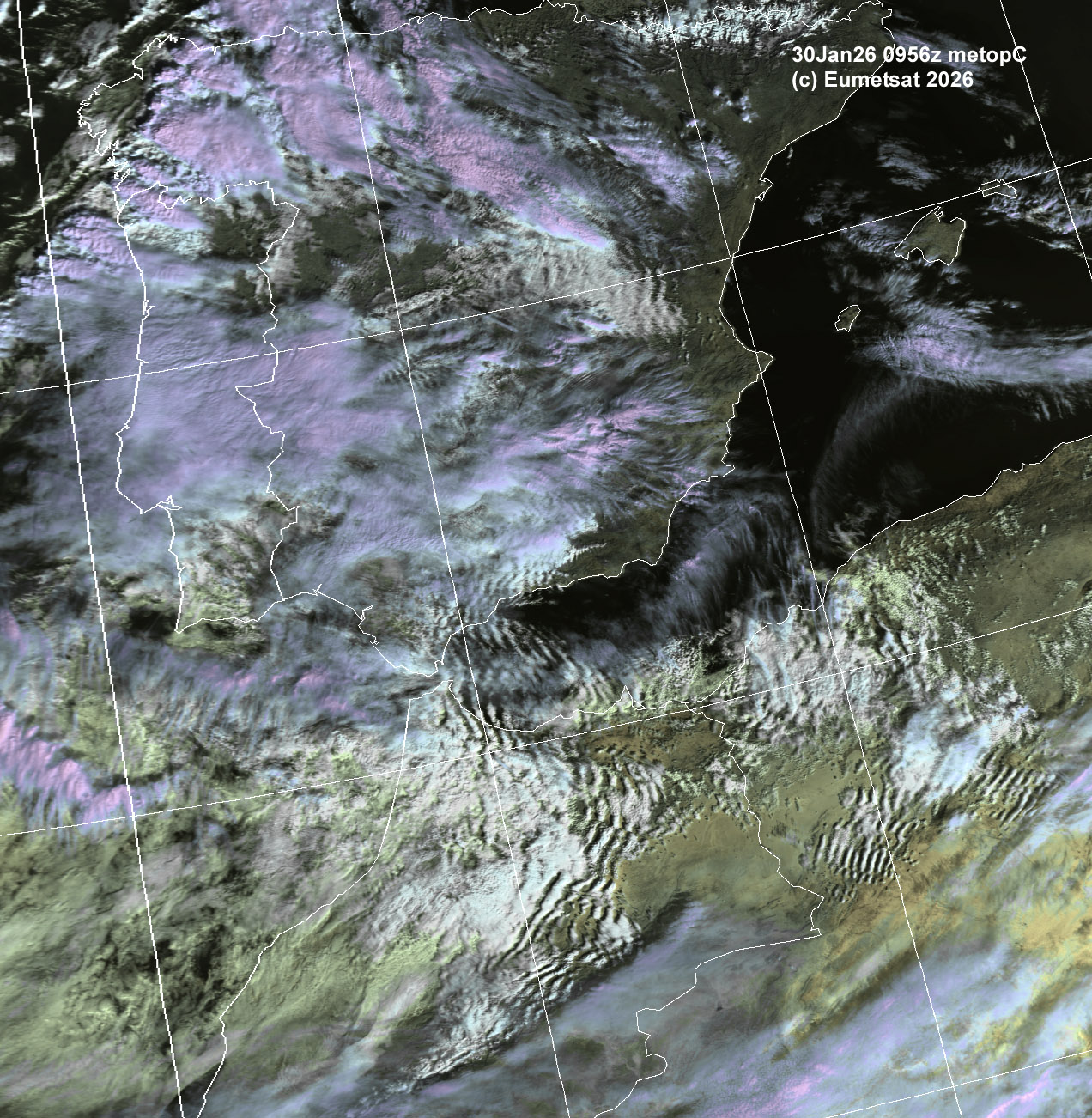 aia30-0956-d-ib