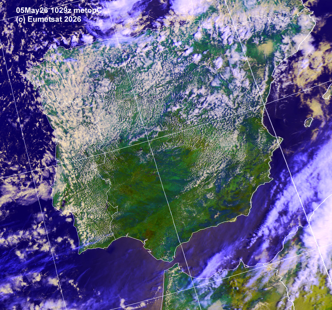 aie05-1029-d-ib