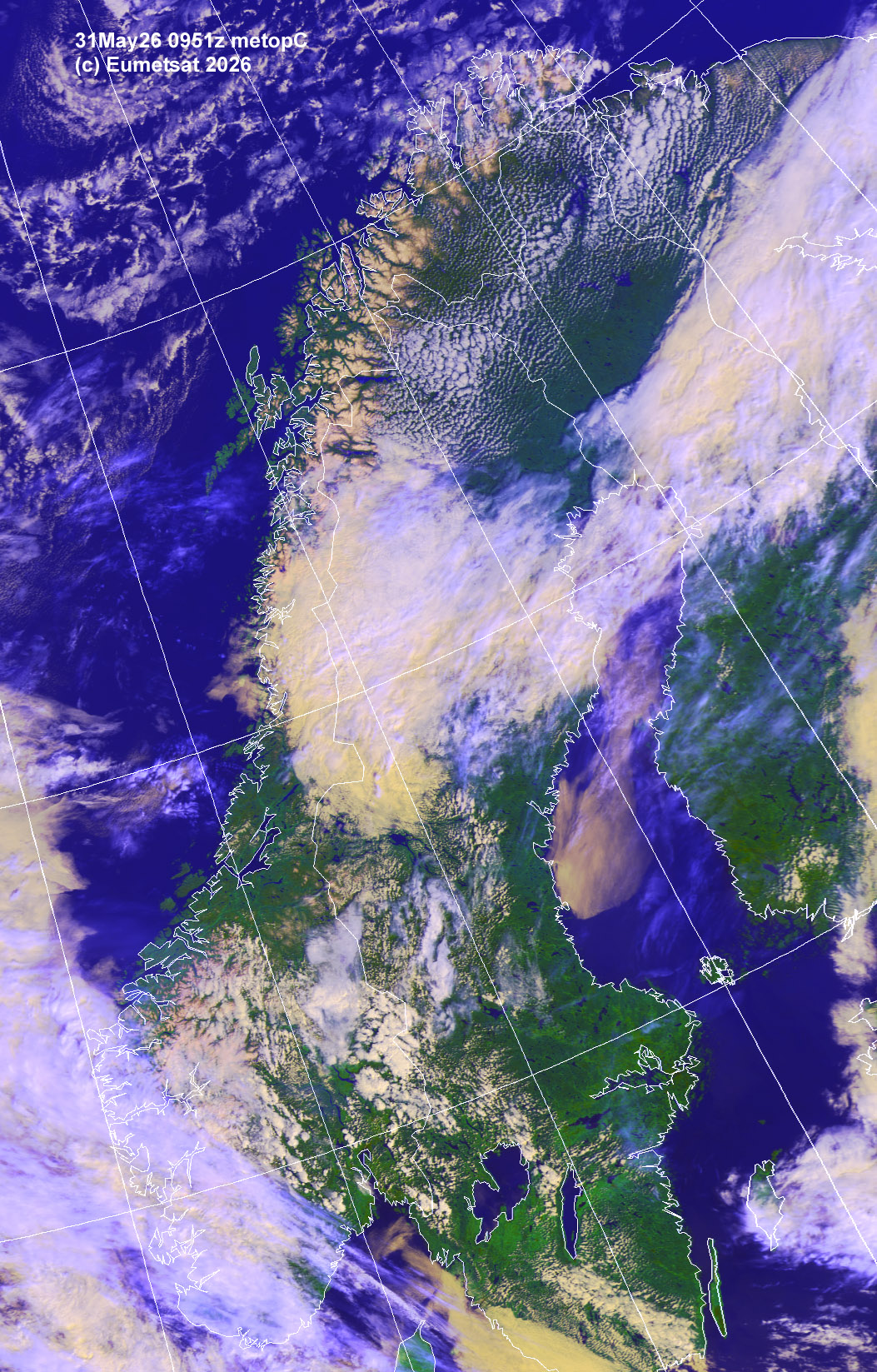 aie31-0951-e-sca