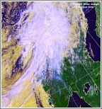 Click to enlarge