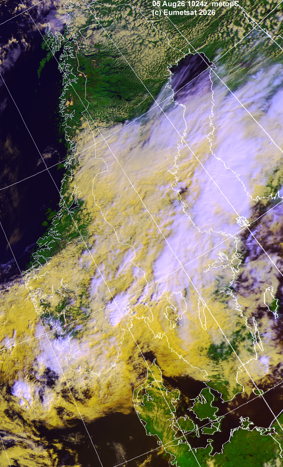 aih05-1024-e-sca