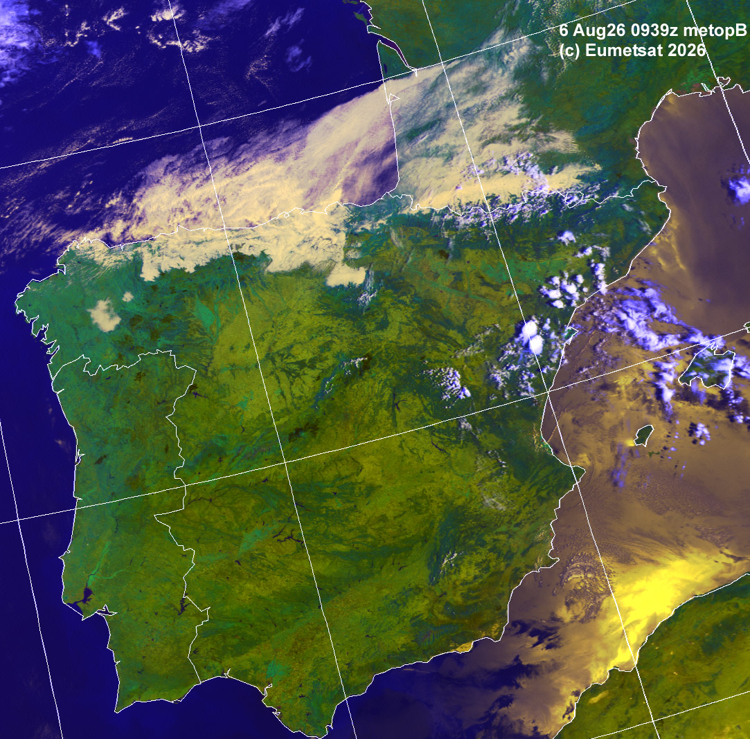 aih06-0939-c-ib