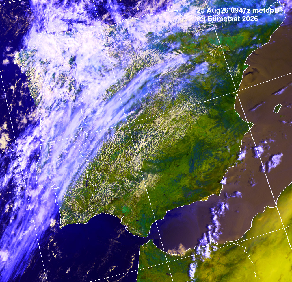 aih25-0947-d-ib