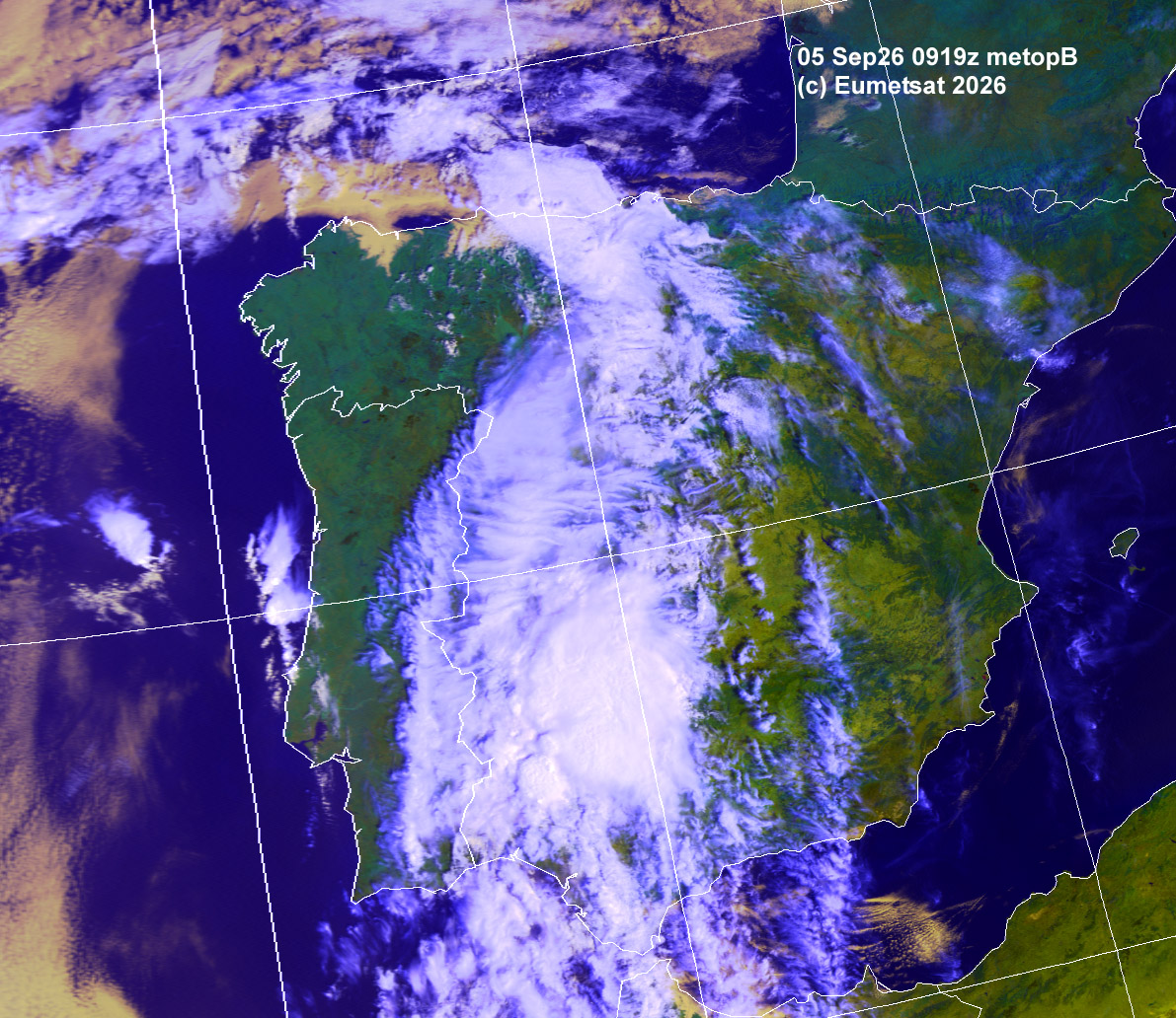 aii05-0919-d-ib