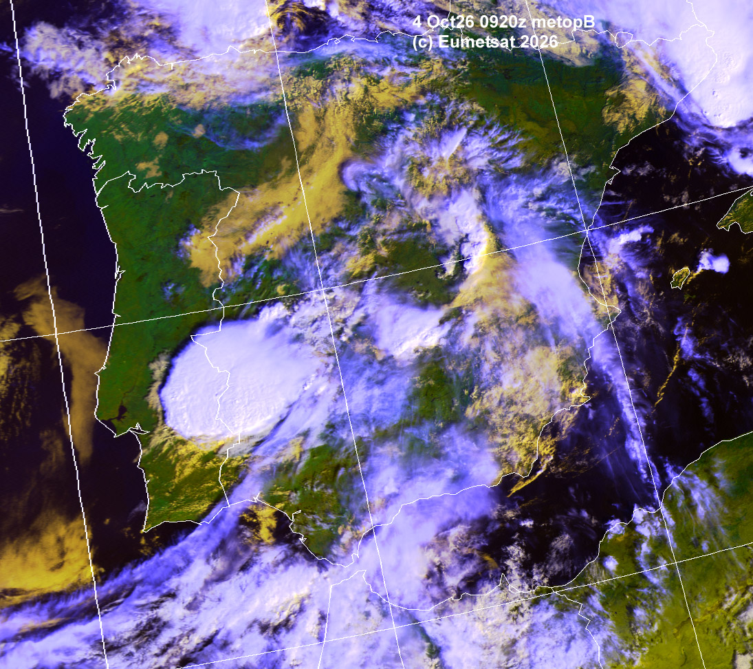 aij04-0920-d-ib