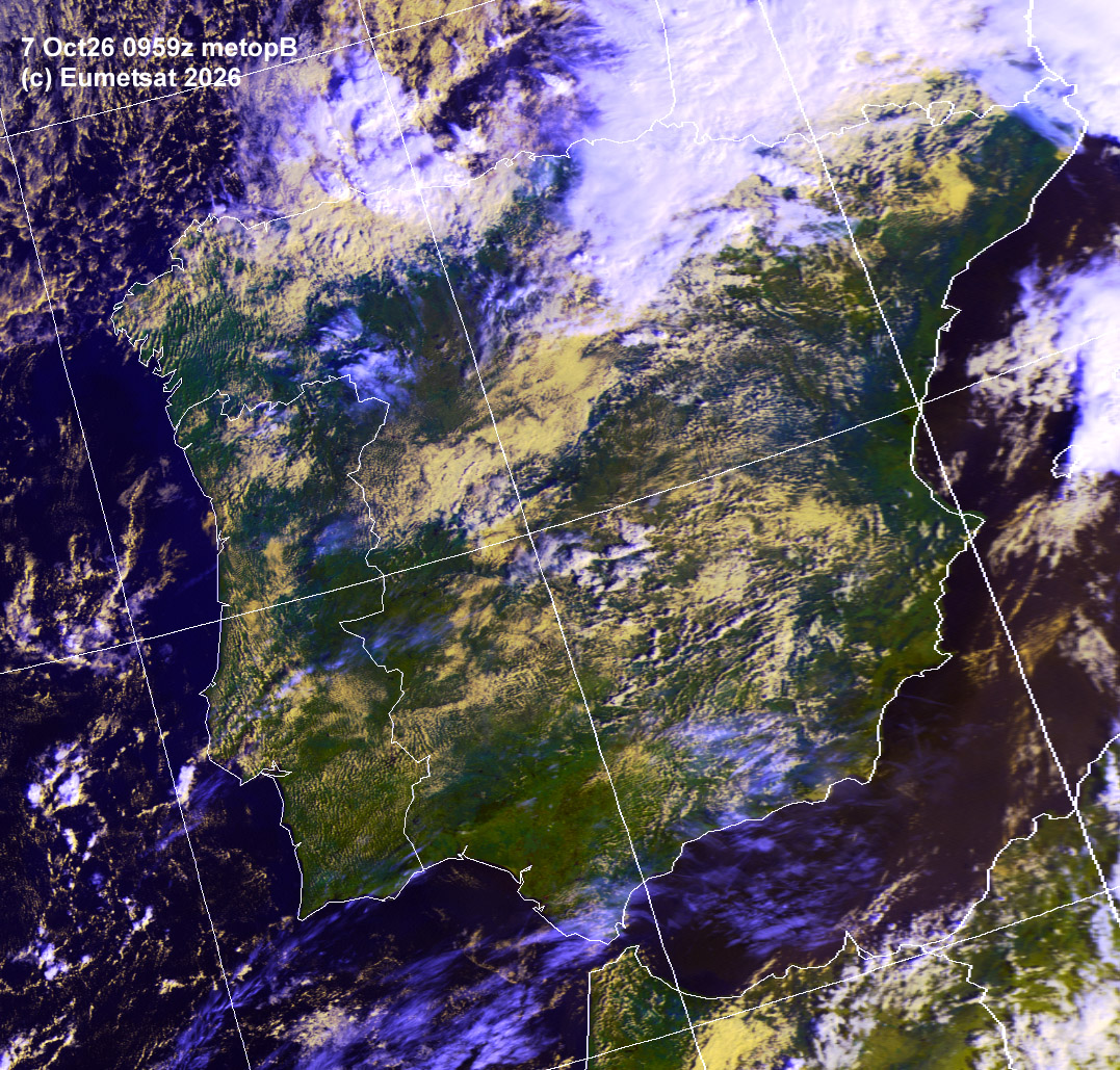aij07-0959-d-ib
