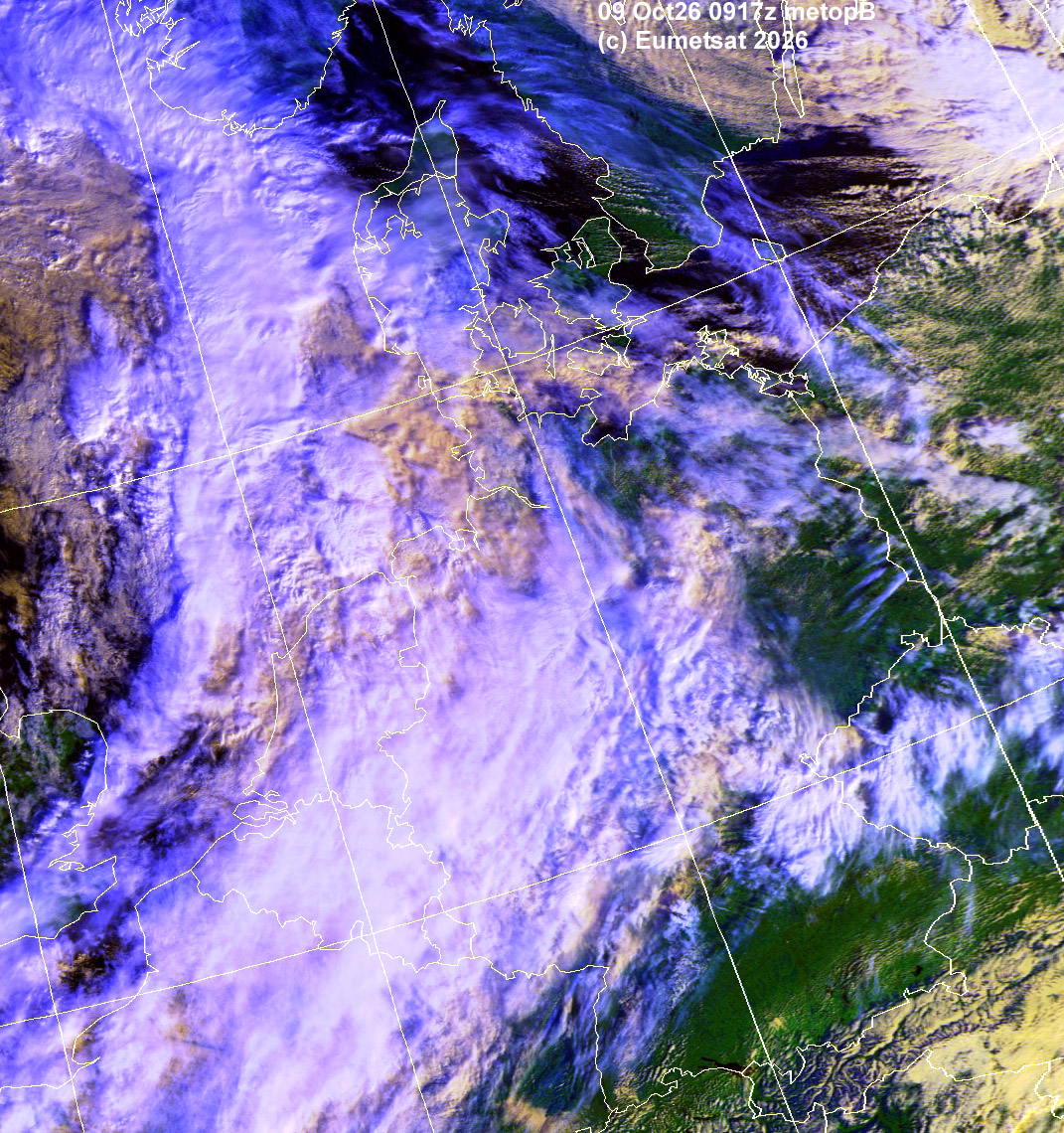 aij09-0917-d-dk
