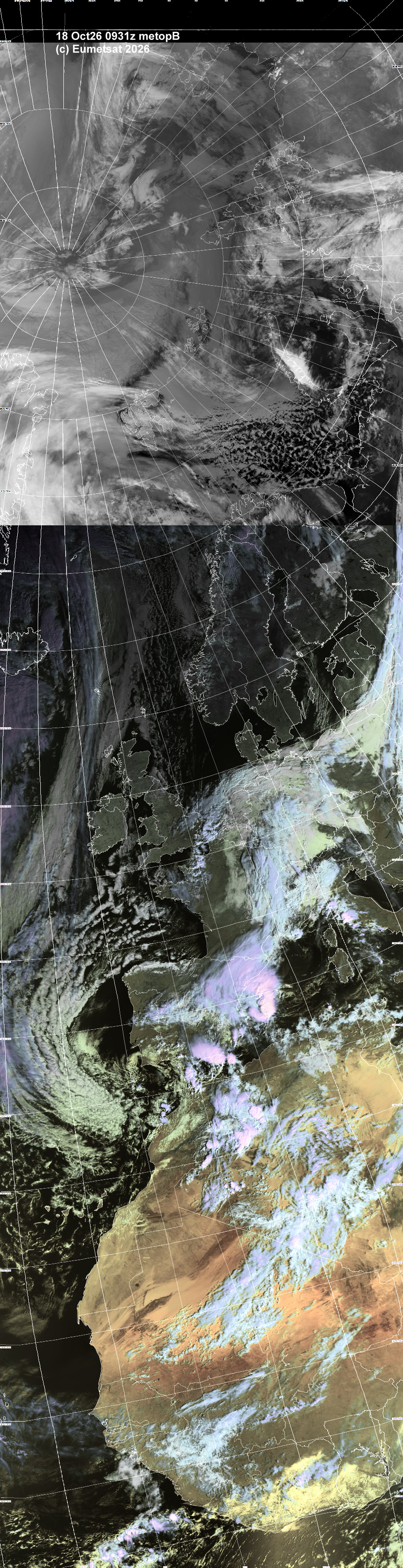 aij18-0931-a-apt