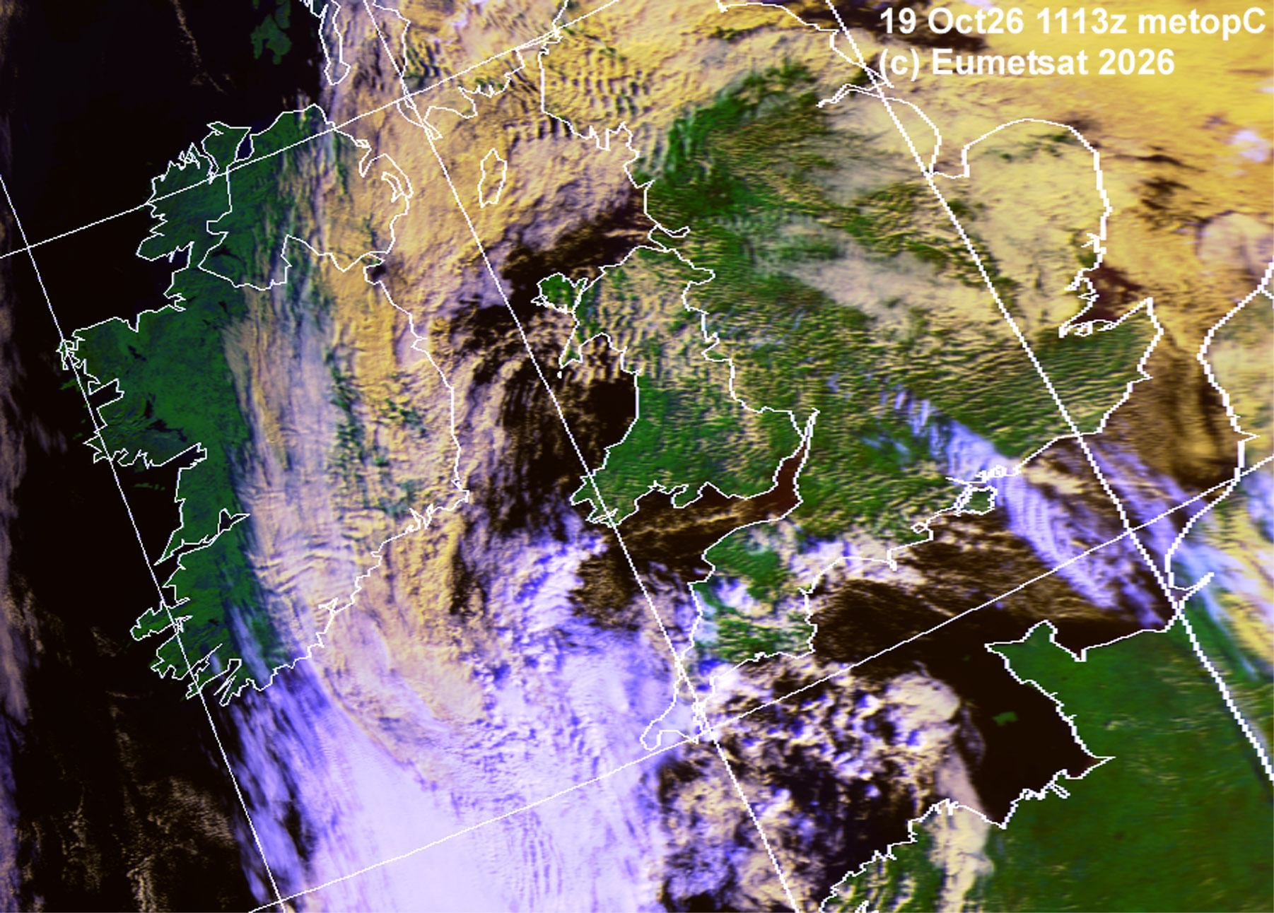 aij19-1113-h-uk-s