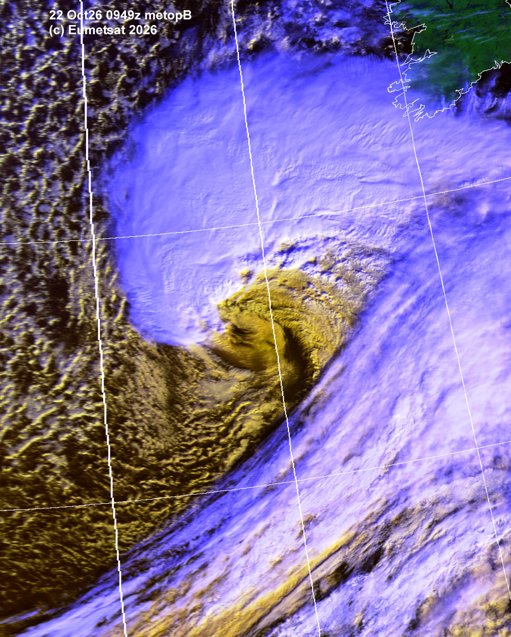aij22-0949-d-ir-s